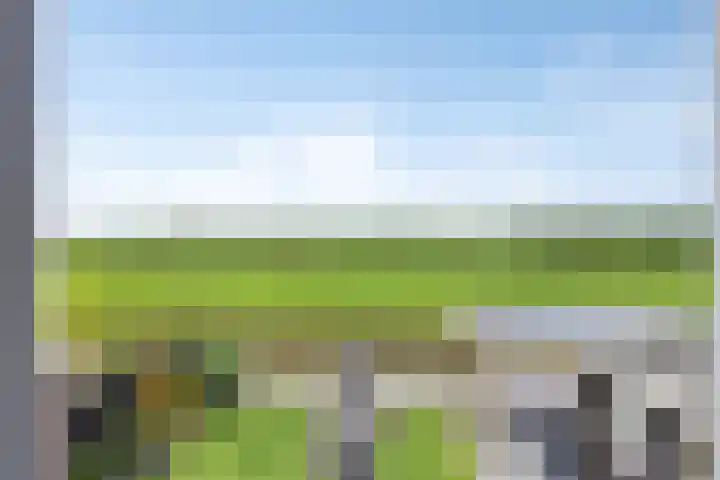 de Weerstallen 48 Kollum thumbnail 30