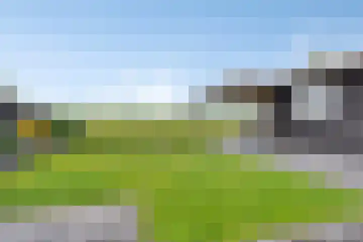 de Weerstallen 48 Kollum thumbnail 31