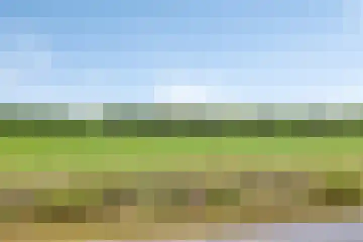 de Weerstallen 48 Kollum thumbnail 32