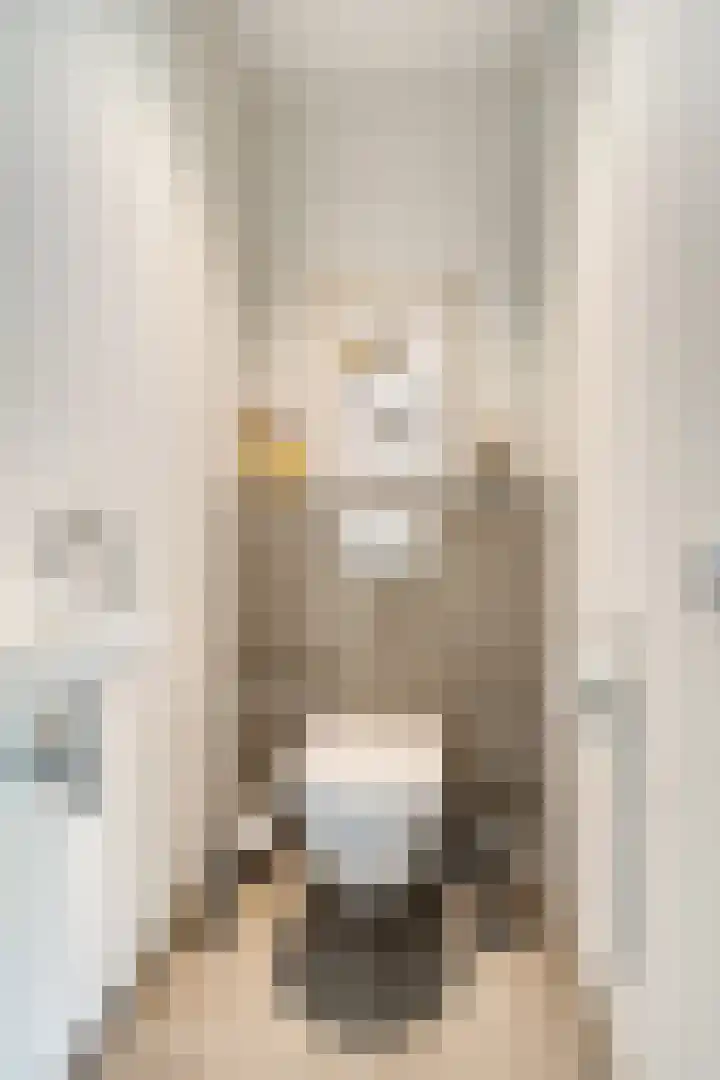 de Weerstallen 48 Kollum thumbnail 8