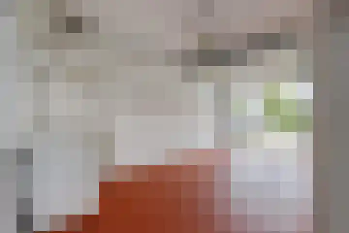 de Weertjes 1106 Wijchen thumbnail 17