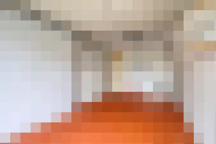 de Weertjes 1106 Wijchen thumbnail 18