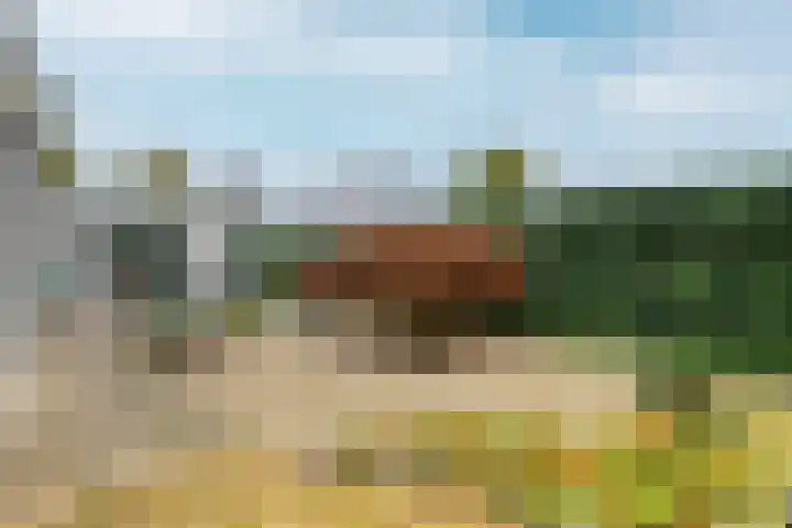 de Weertjes 1106 Wijchen thumbnail 25