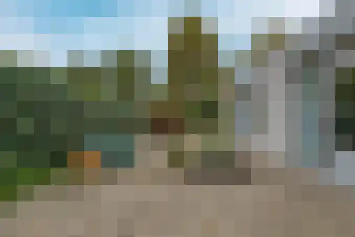 de Weertjes 1106 Wijchen thumbnail 26
