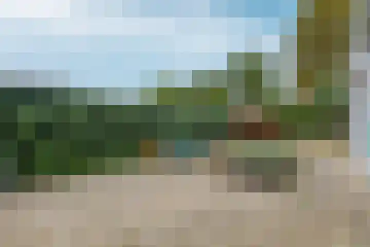 de Weertjes 1106 Wijchen thumbnail 27
