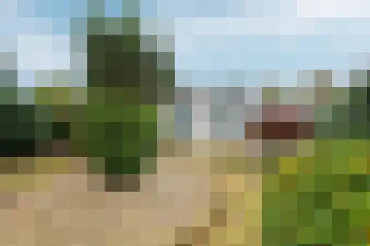 de Weertjes 1106 Wijchen thumbnail 28