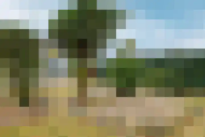 de Weertjes 1106 Wijchen thumbnail 29