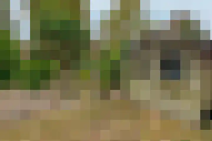 de Weertjes 1106 Wijchen thumbnail 30