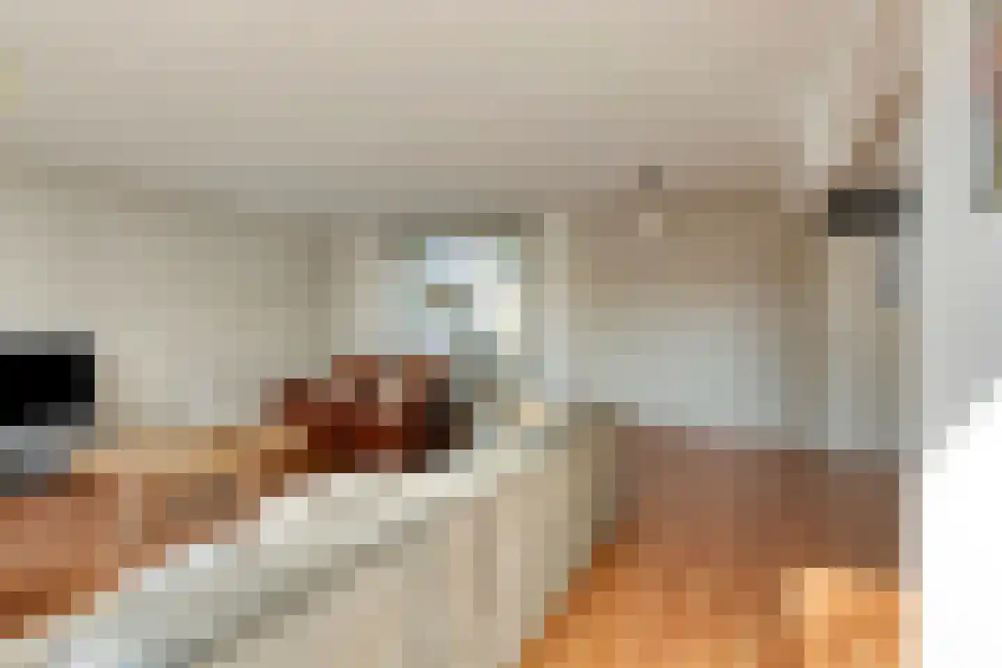 de Weertjes 1136 Wijchen thumbnail 10