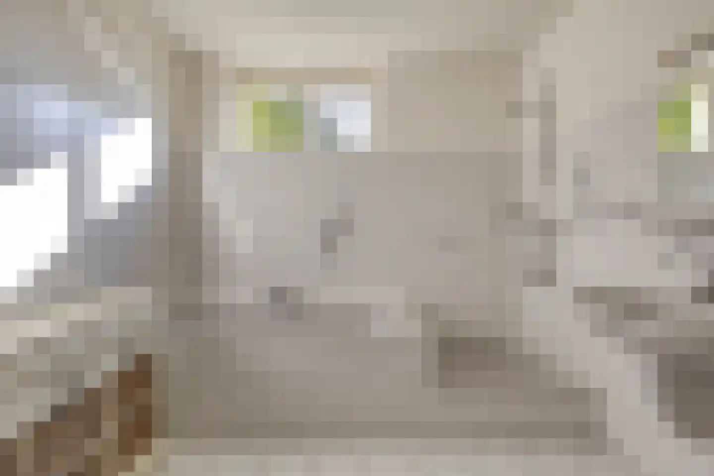 de Weertjes 1136 Wijchen thumbnail 22