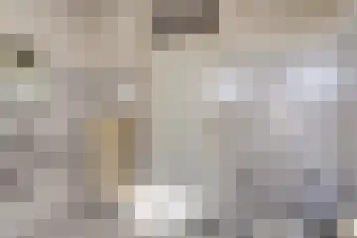 de Weertjes 1136 Wijchen thumbnail 24