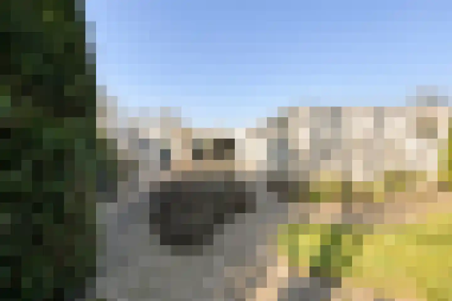 de Weertjes 1136 Wijchen thumbnail 29