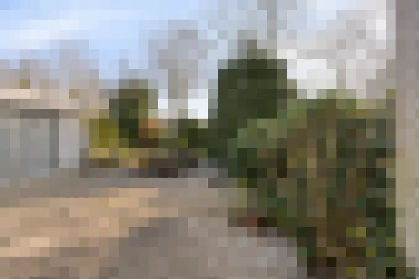de Weertjes 1136 Wijchen thumbnail 30