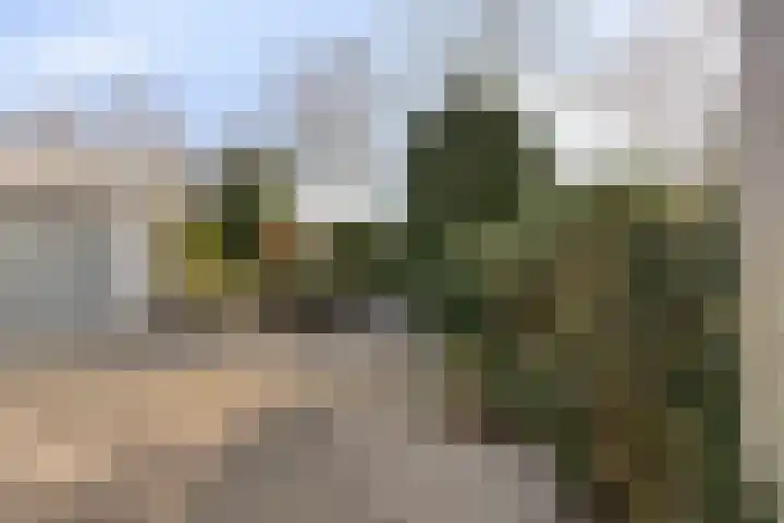 de Weertjes 1136 Wijchen thumbnail 30