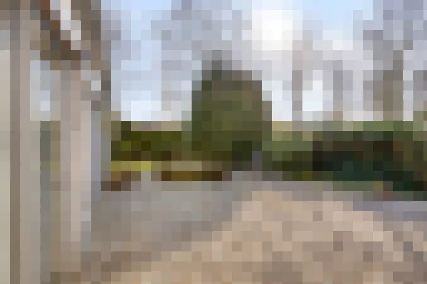 de Weertjes 1136 Wijchen thumbnail 31