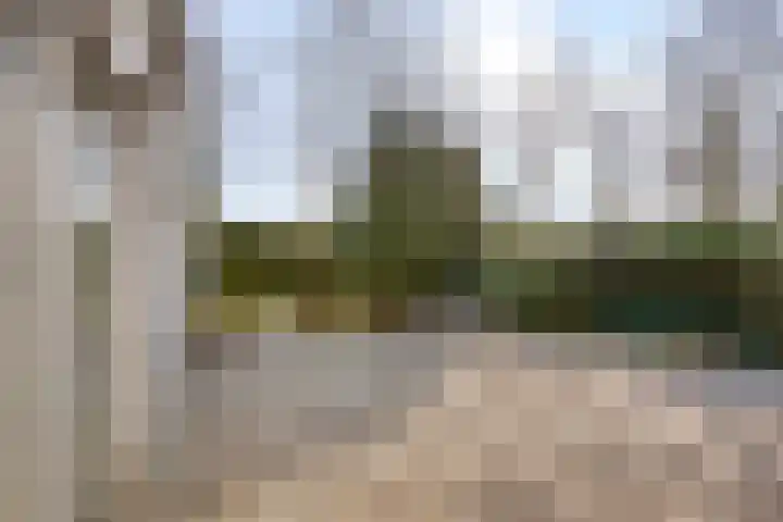 de Weertjes 1136 Wijchen thumbnail 31