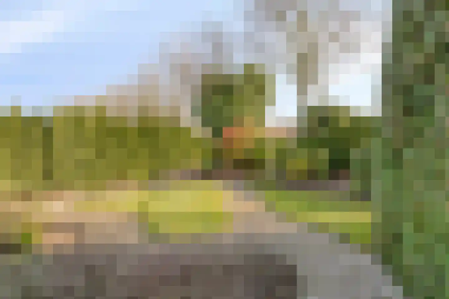 de Weertjes 1136 Wijchen thumbnail 32