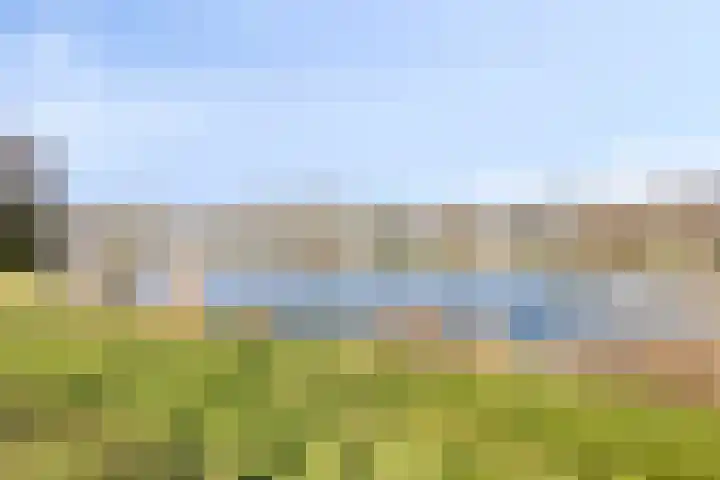 de Weertjes 1136 Wijchen thumbnail 34