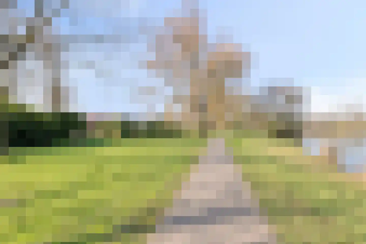 de Weertjes 1136 Wijchen thumbnail 35
