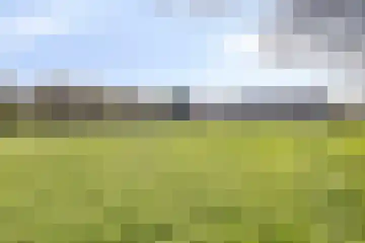 de Weertjes 1136 Wijchen thumbnail 36