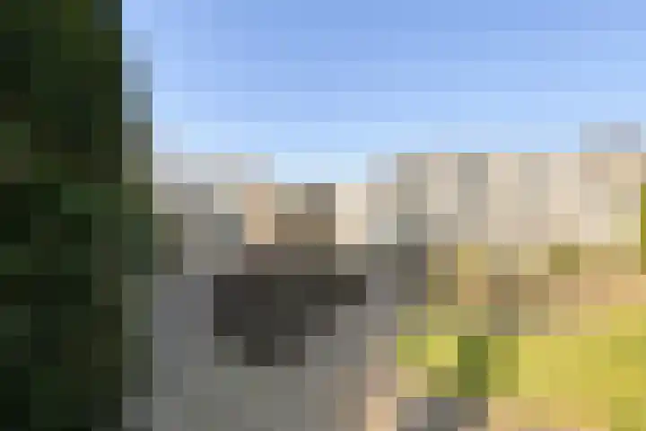 de Weertjes 1136 Wijchen thumbnail 4