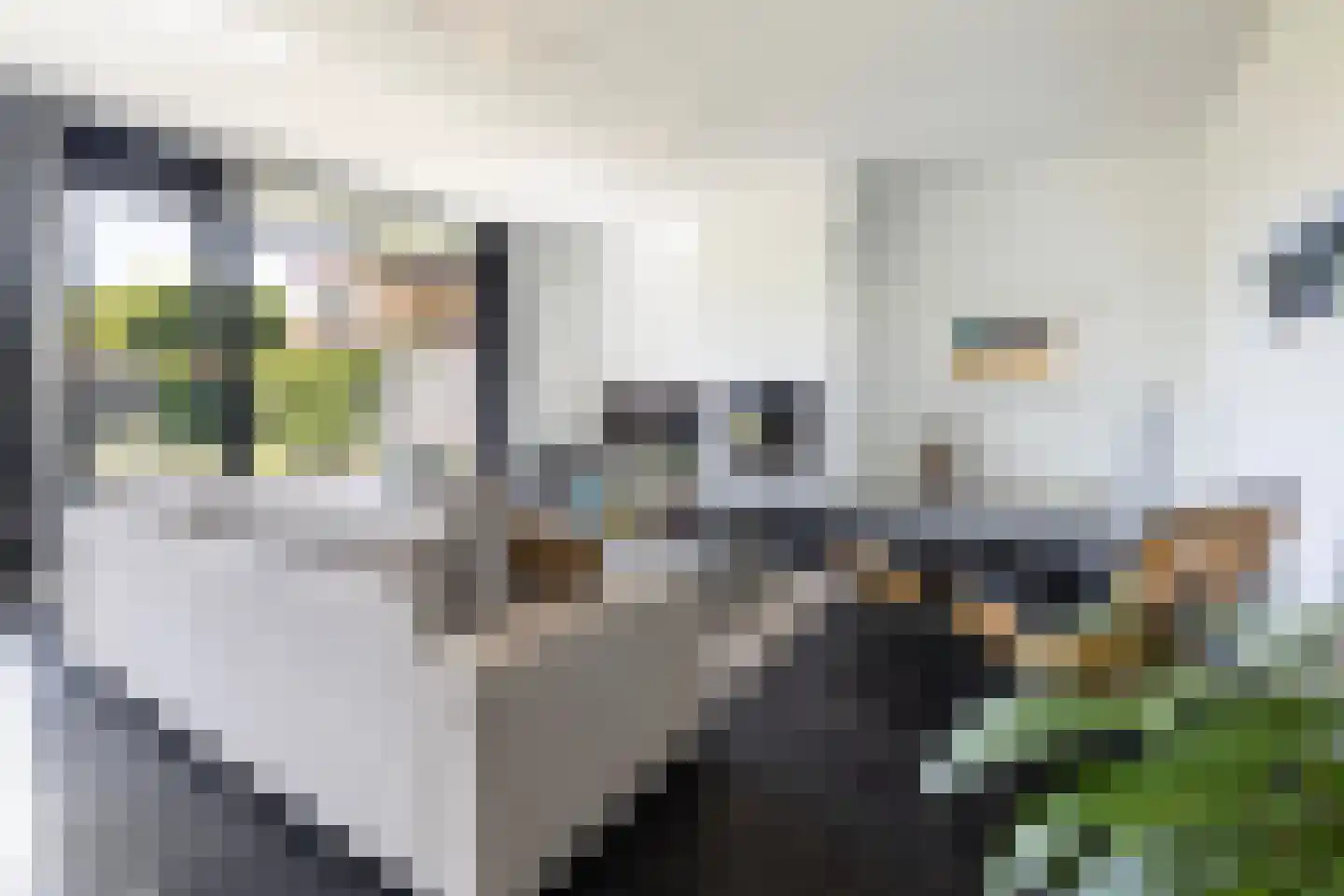 De Wees 4 Hoevelaken thumbnail 11
