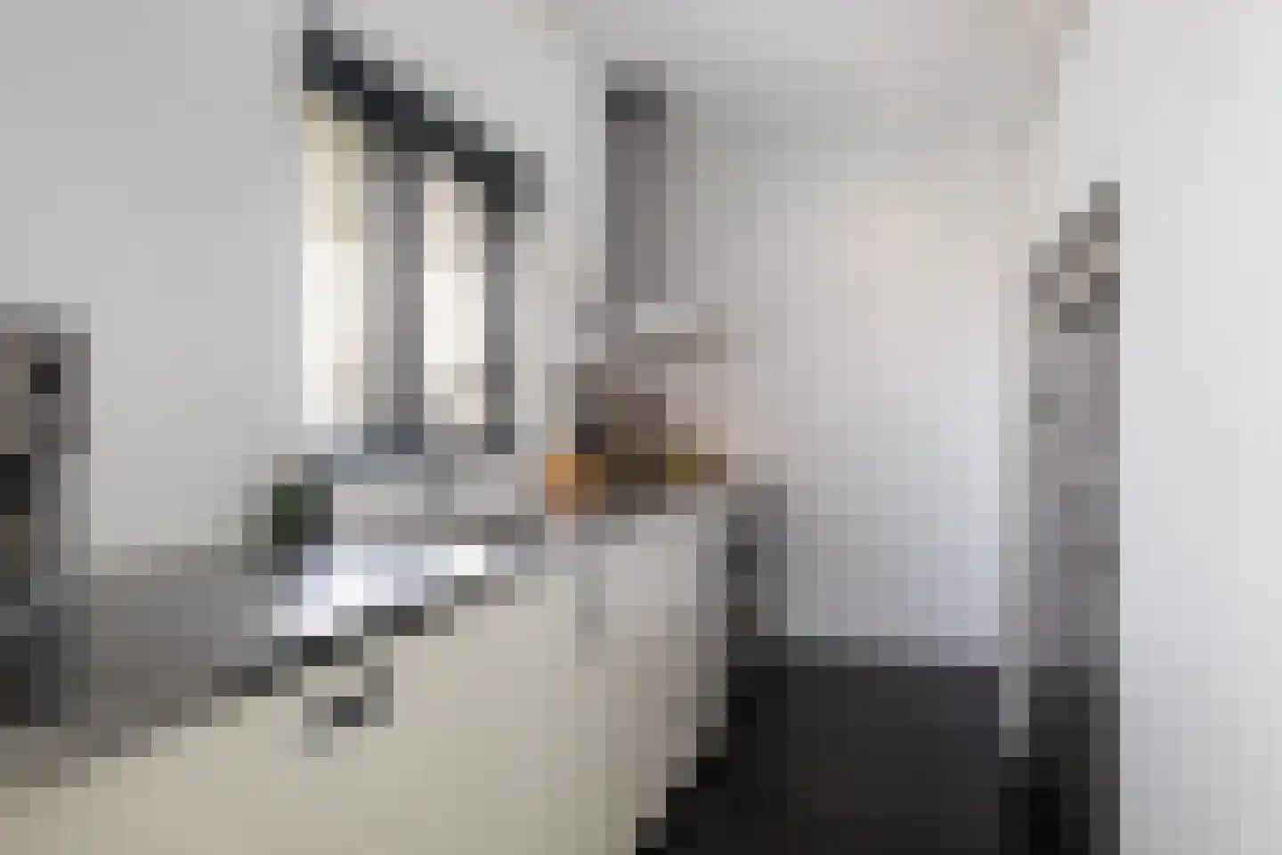 De Wees 4 Hoevelaken thumbnail 18