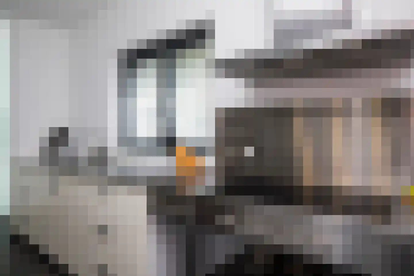 De Wees 4 Hoevelaken thumbnail 19