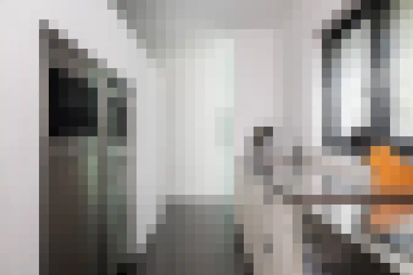 De Wees 4 Hoevelaken thumbnail 20