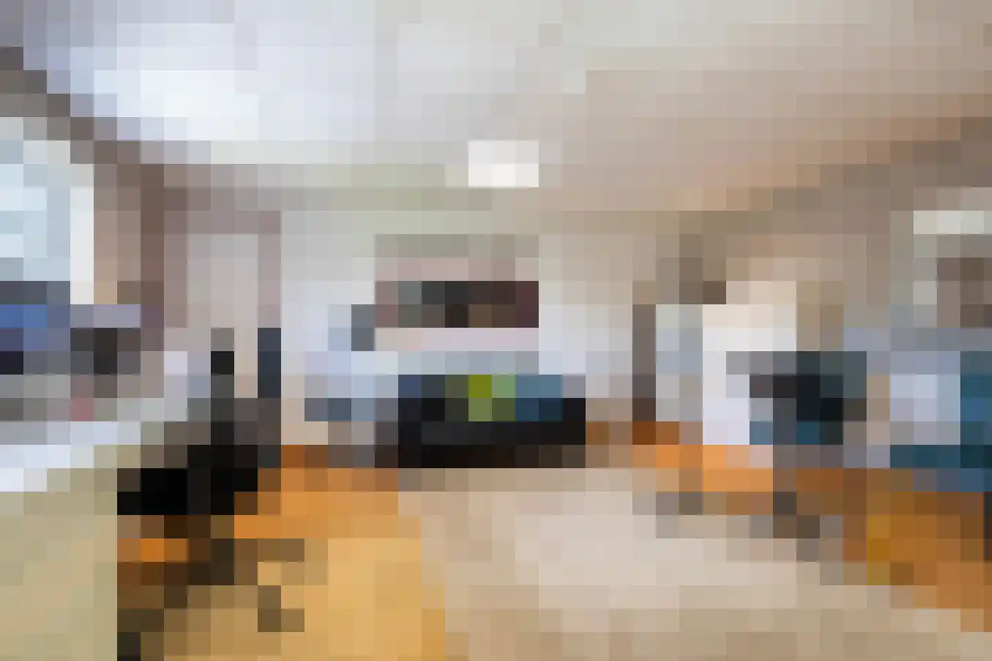 De Wees 4 Hoevelaken thumbnail 21
