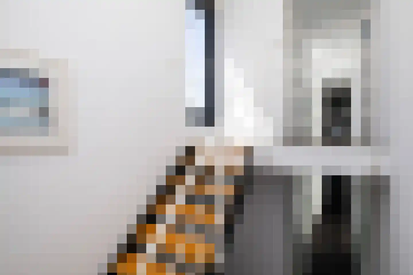 De Wees 4 Hoevelaken thumbnail 23