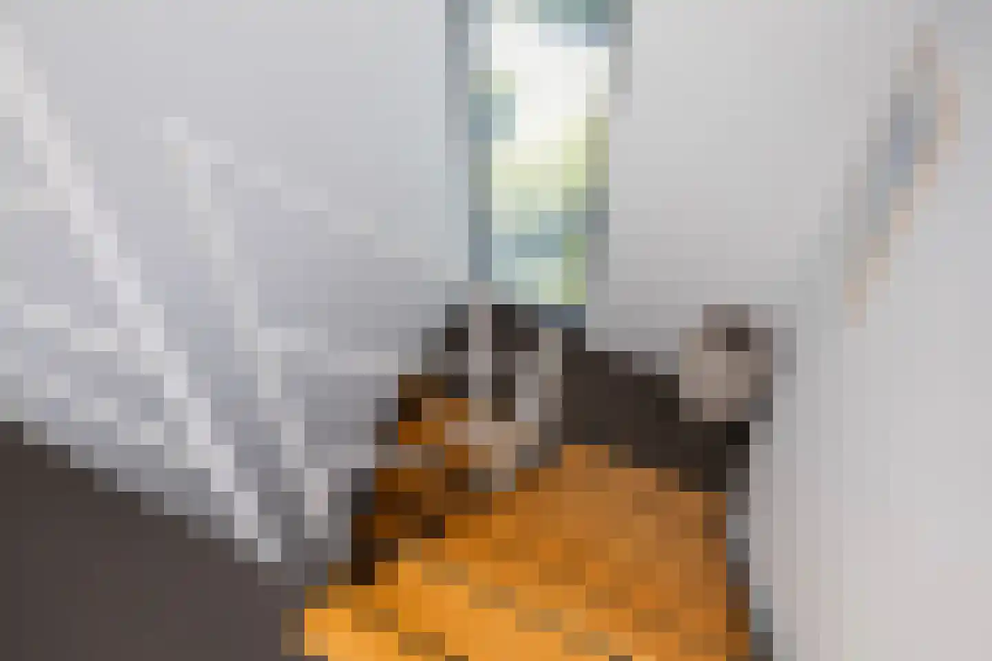 De Wees 4 Hoevelaken thumbnail 24