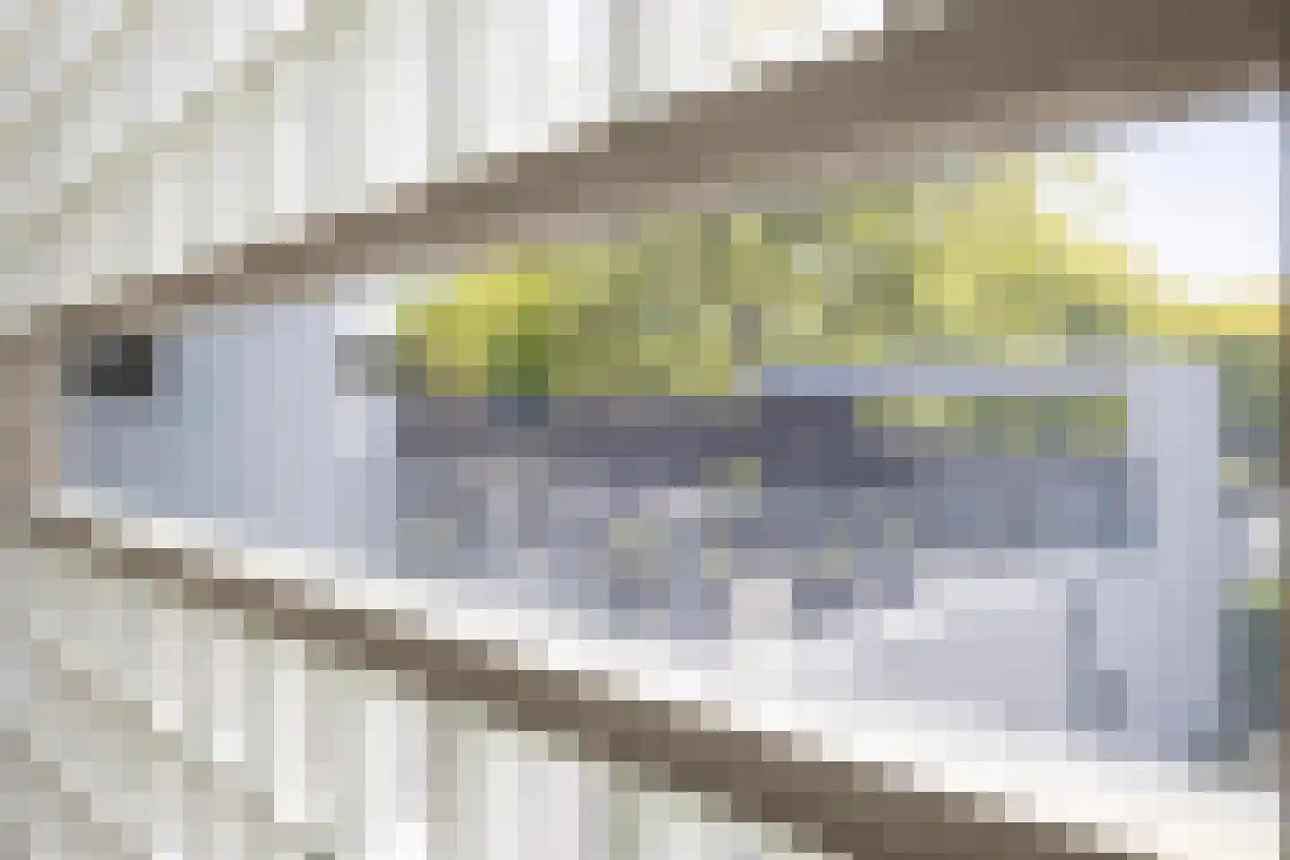 De Wees 4 Hoevelaken thumbnail 27