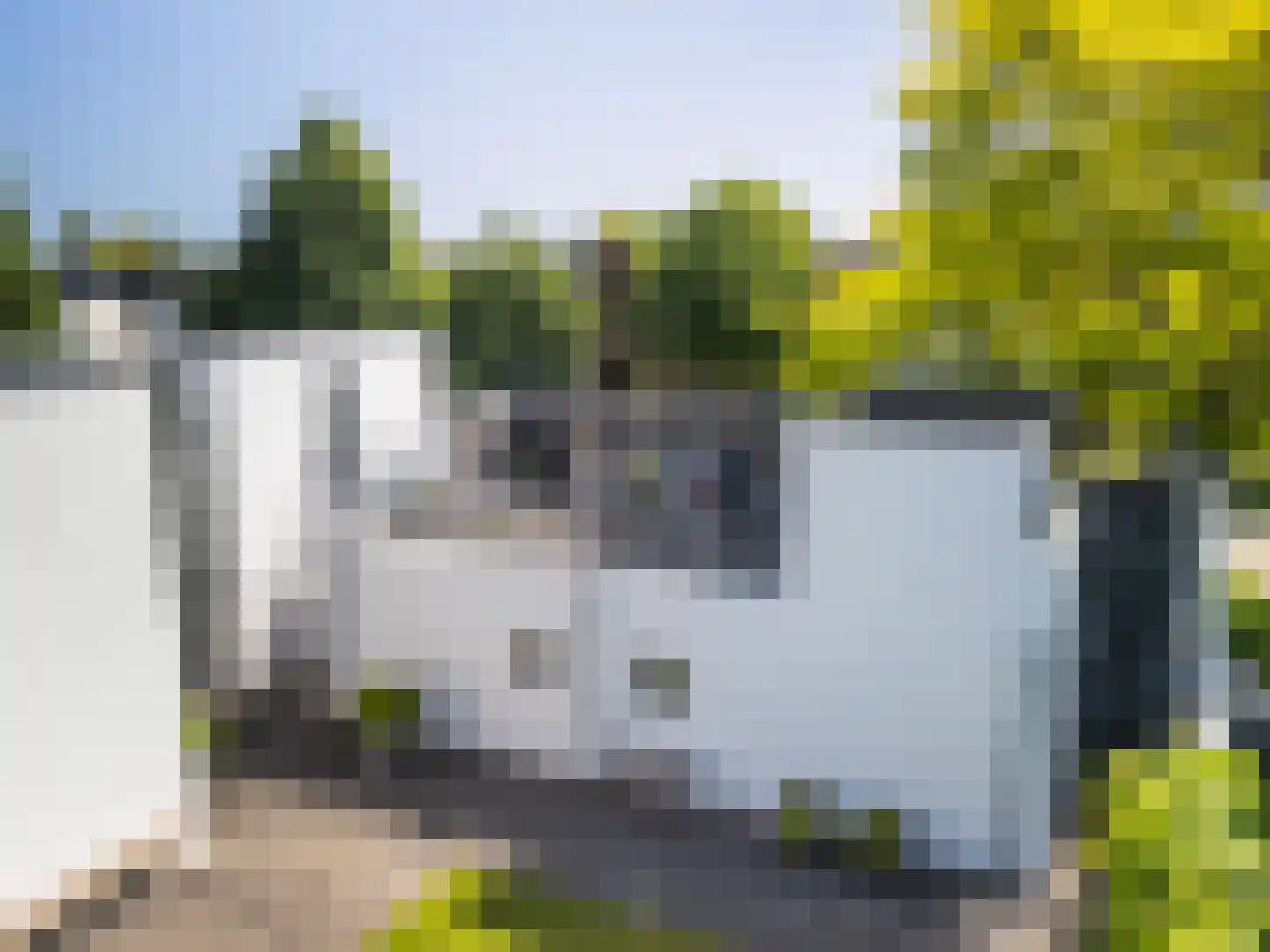 De Wees 4 Hoevelaken thumbnail 29