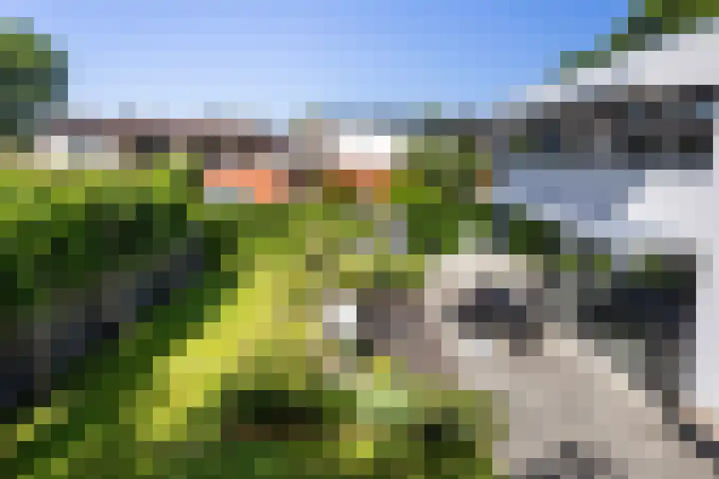De Wees 4 Hoevelaken thumbnail 30
