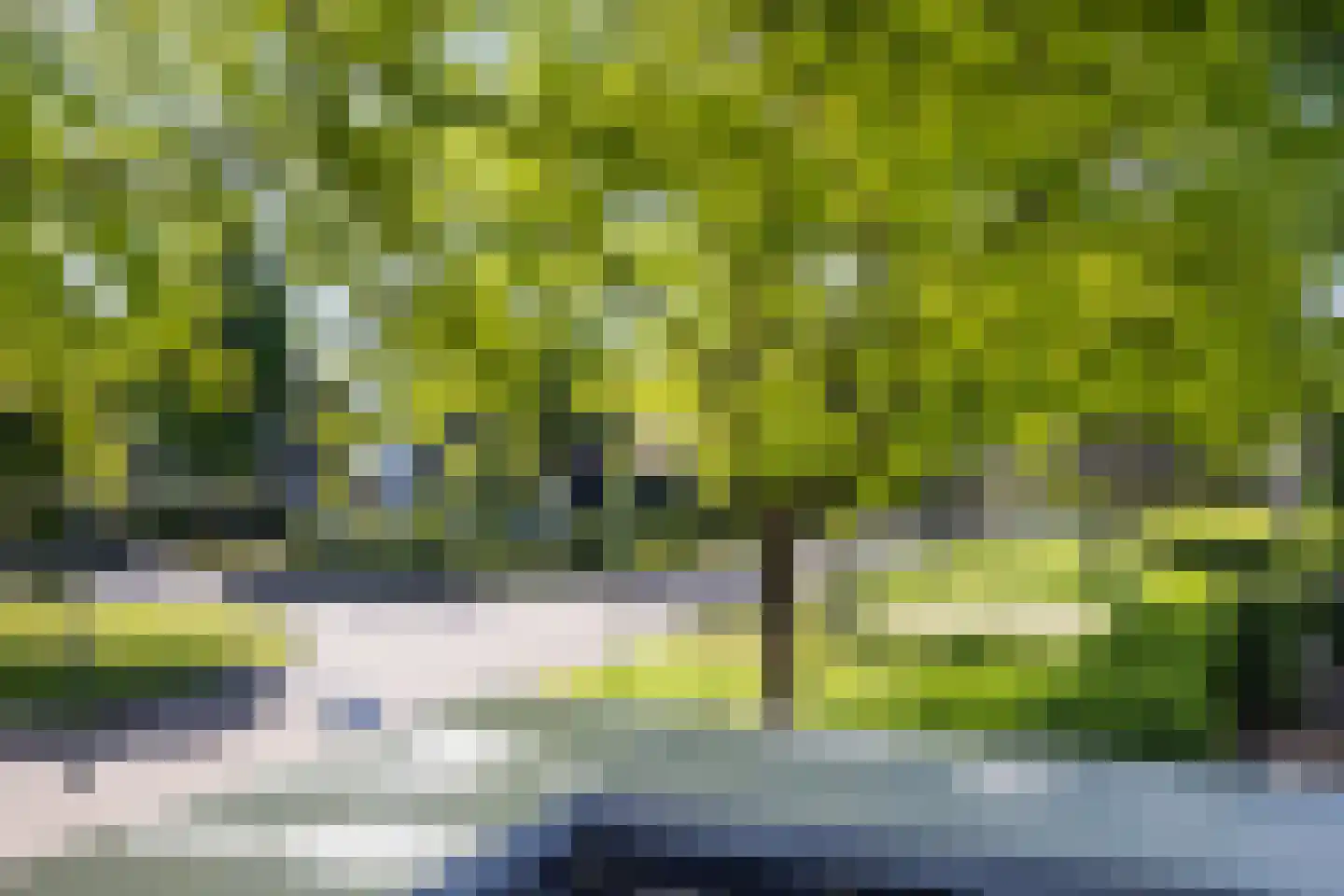 De Wees 4 Hoevelaken thumbnail 36