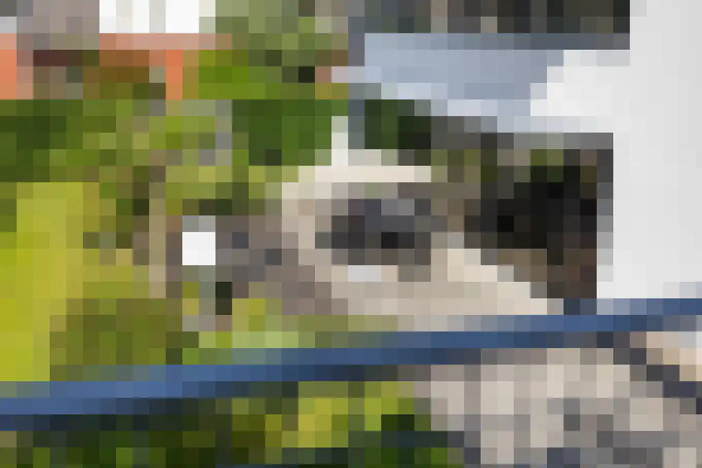 De Wees 4 Hoevelaken thumbnail 37