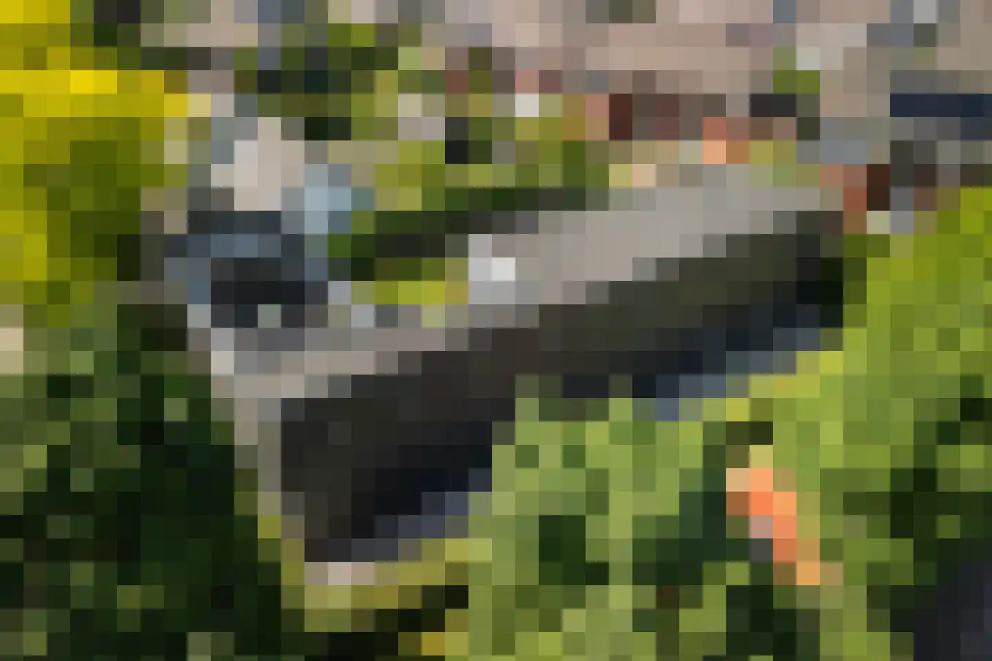 De Wees 4 Hoevelaken thumbnail 4