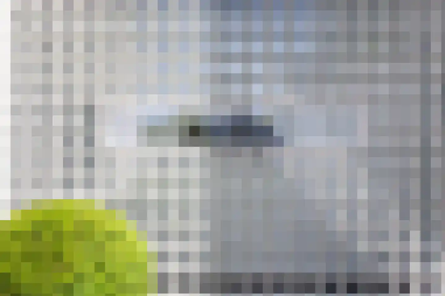 De Wees 4 Hoevelaken thumbnail 52