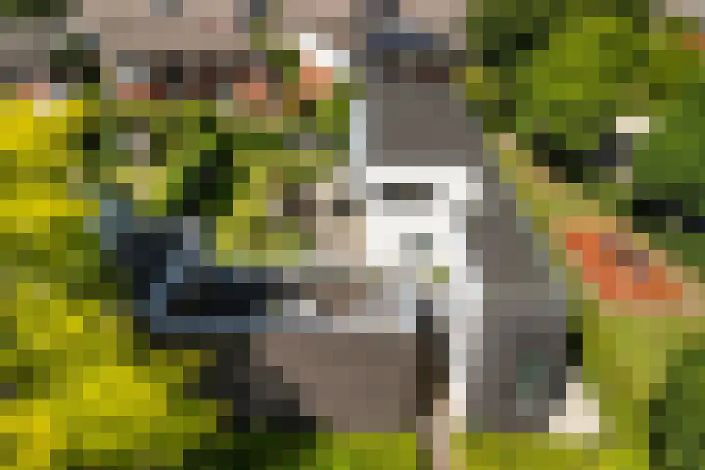 De Wees 4 Hoevelaken thumbnail 55