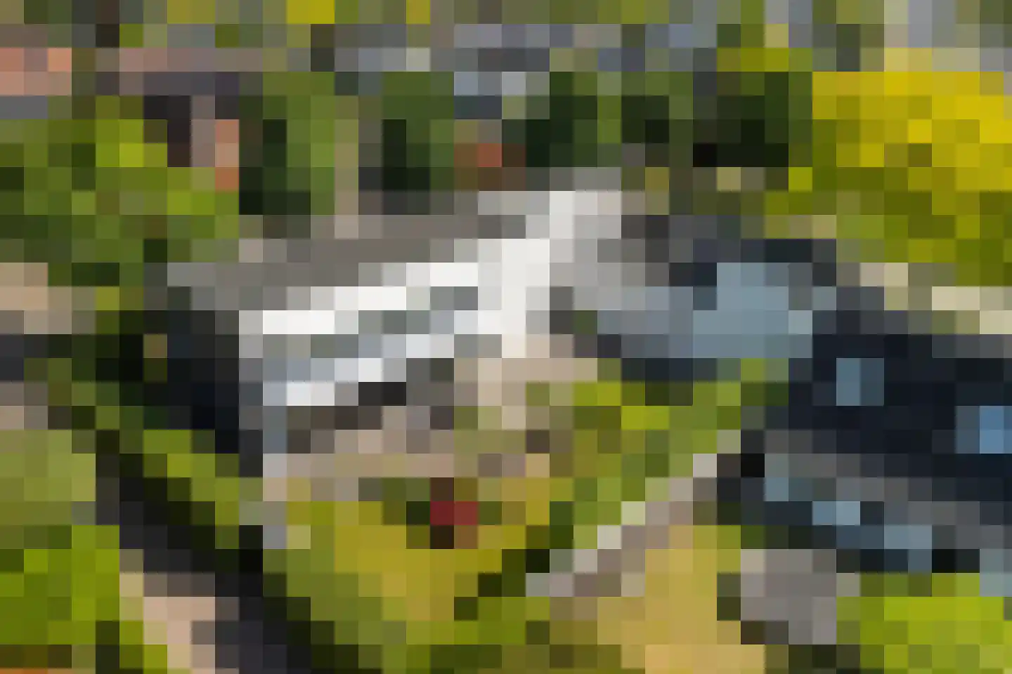 De Wees 4 Hoevelaken thumbnail 57