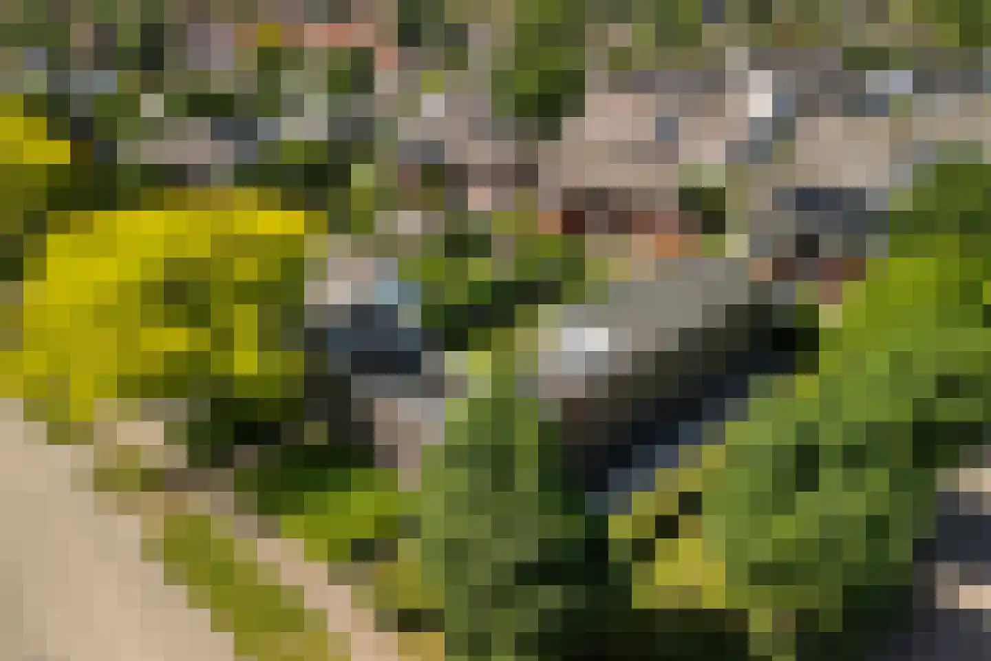 De Wees 4 Hoevelaken thumbnail 59