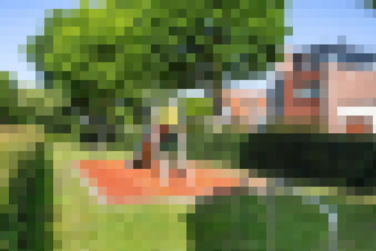 De Wees 4 Hoevelaken thumbnail 61