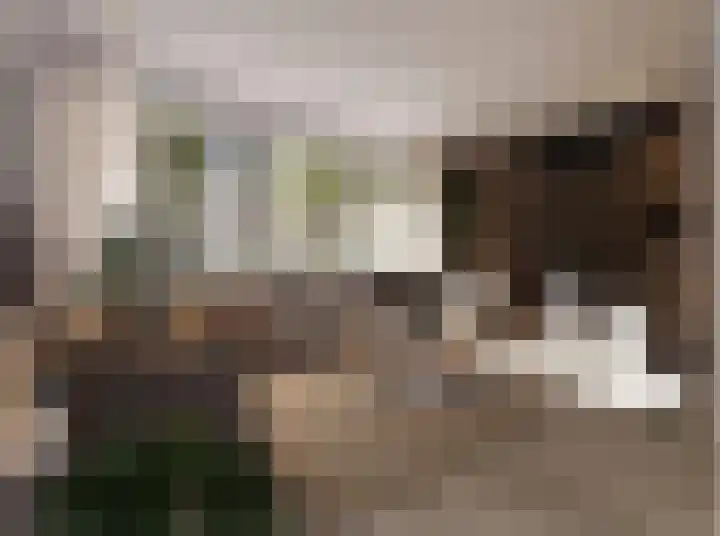 De Weide 15 Zwaagdijk-Oost thumbnail 5
