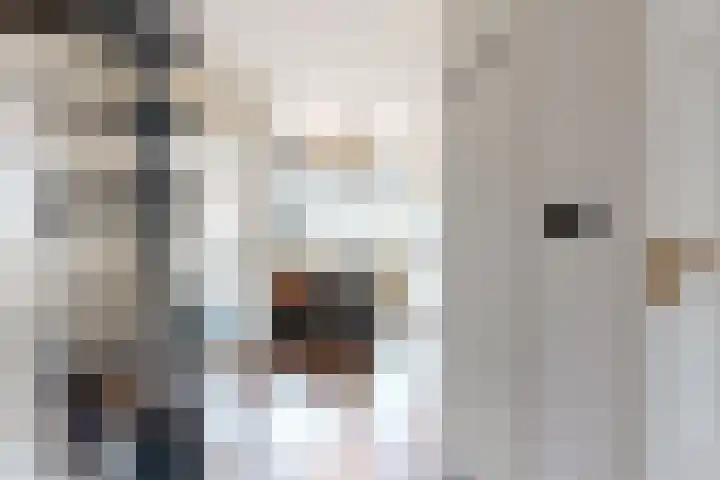 de Weide 17 Lopik thumbnail 12