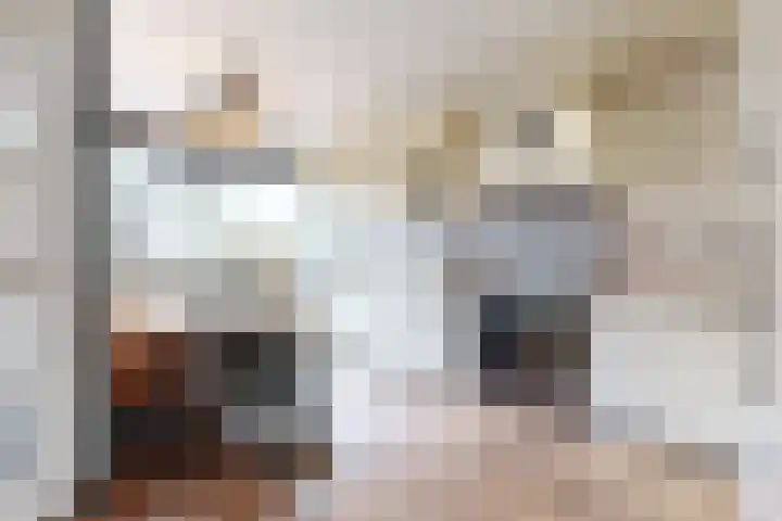 de Weide 17 Lopik thumbnail 13