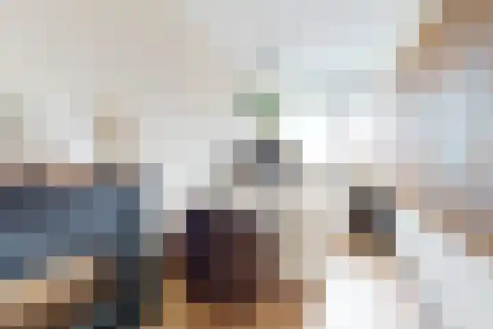 de Weide 17 Lopik thumbnail 21