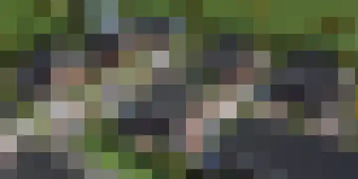 De Weide 17 Zwaagdijk-Oost thumbnail 4