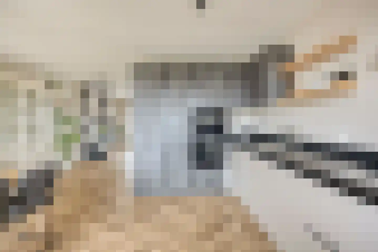 De Weide 27 Zwaagdijk-Oost thumbnail 12