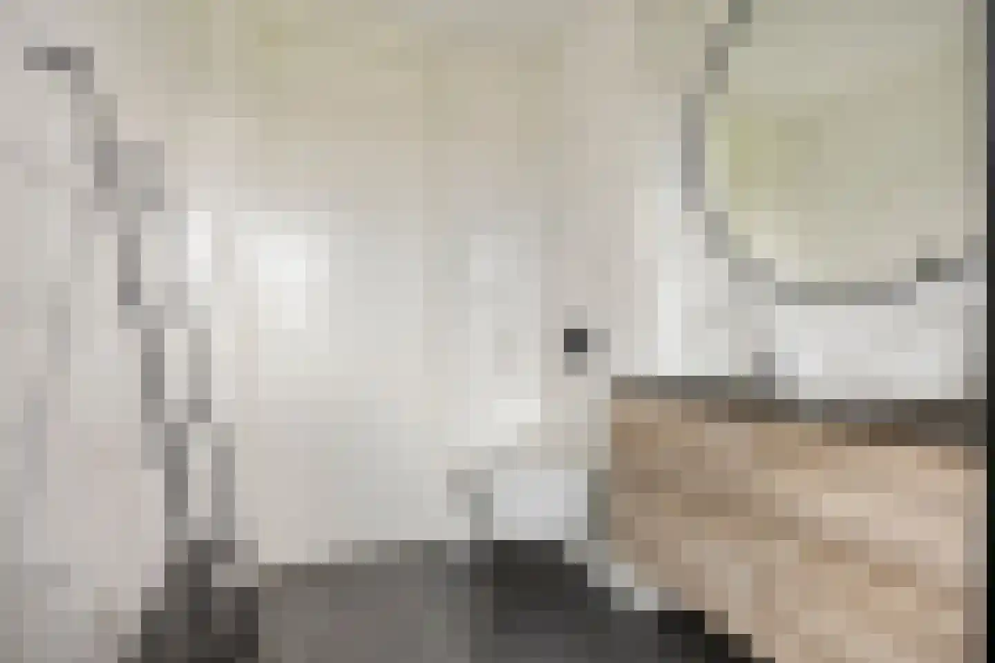 De Weide 27 Zwaagdijk-Oost thumbnail 20